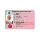 thumbnail image 1 of Claus Licencia De Conducir Voladora Tarjeta De Plástico Licencia De Trineo De Plástico Decoraciones Para Árboles De Navidad Yuarrent HA042012-04, 1 of 6