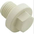 thumbnail image 2 of Speck Pumps 2923591203 Drain Plug 21-80 GS/BS PP GF30 Gray Hex Head 1/4", 2 of 2