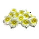 thumbnail image 3 of Pasamontañas con pinza para el pelo de espuma para mujer, 3 uds., hawaiana, flor de Plumeria blanca, para playa ER, 3 of 5
