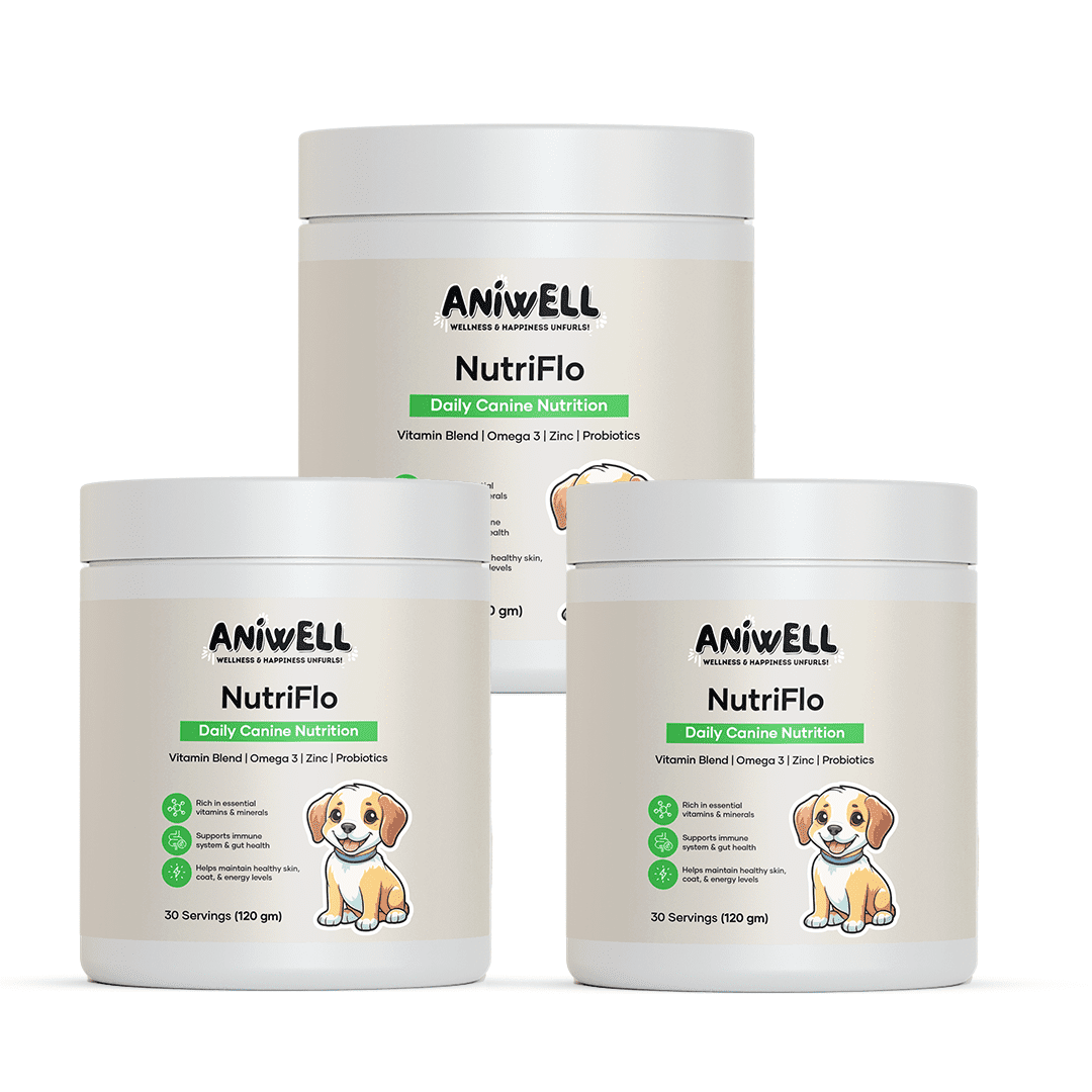 NutriFlo: Dog Multivitamin - Daily Canine Nutrition | with Colostrum, Omega-3s & Vitamin C | Supports Energy, Imm (3)