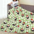 thumbnail image 6 of Bingfone Christmas Hat French Bulldog Print Flannel Fleece Blanket Throw Blanket for Bed,Sofa,Couch,Travel,Camping(40"x30" ), 6 of 8