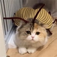 thumbnail image 5 of Cats Cockroach Costume DIY Set Family And Pet Fashion, 5 of 10