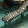 thumbnail image 1 of unbranded 4Ud De Resina Con De Autopista Para Acuario Con Multicolor, 1 of 8