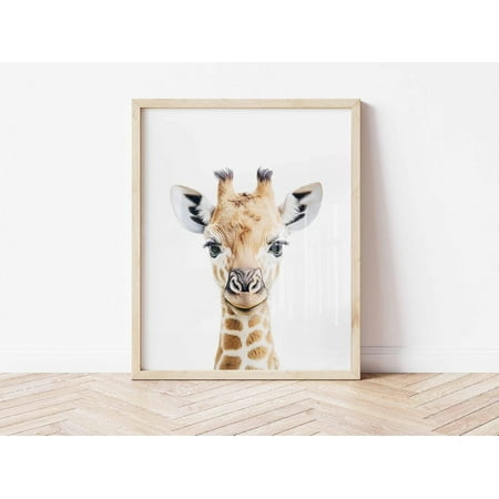 Baby Giraffe Nursery Wall Art Print Safari Nursery Decor Safari Animal Print Jungle Nursery Decor Baby Nursery Decor New Baby Home Decor #215 Unframed Canvas Size 8x12