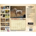 thumbnail image 3 of 2026 Yellow Labrador Dog Wall Calendar 16-Month X-Large Size 14x22, Monthly Calendar for Home or Office, by The KING Company-Monster Calendars, 3 of 7