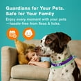 thumbnail image 7 of ZingZap Flea & Tick Collar 2-Pack Purple, Protects from Biting Insects, Adjustable Fits Both Dogs & Cats, Built-in Plant Based Formula, Slow-Release Lasting Protection, Waterproof, 7 of 7