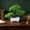 Green, variant on Artificial Potted Plants Simulation Flowers for Home Decor - Fake Plastic Plants in Pot for Dining Table Living Room TV Cabinet Office Desk Shelf Decoration - 7.5 Inch, No Watering Needed