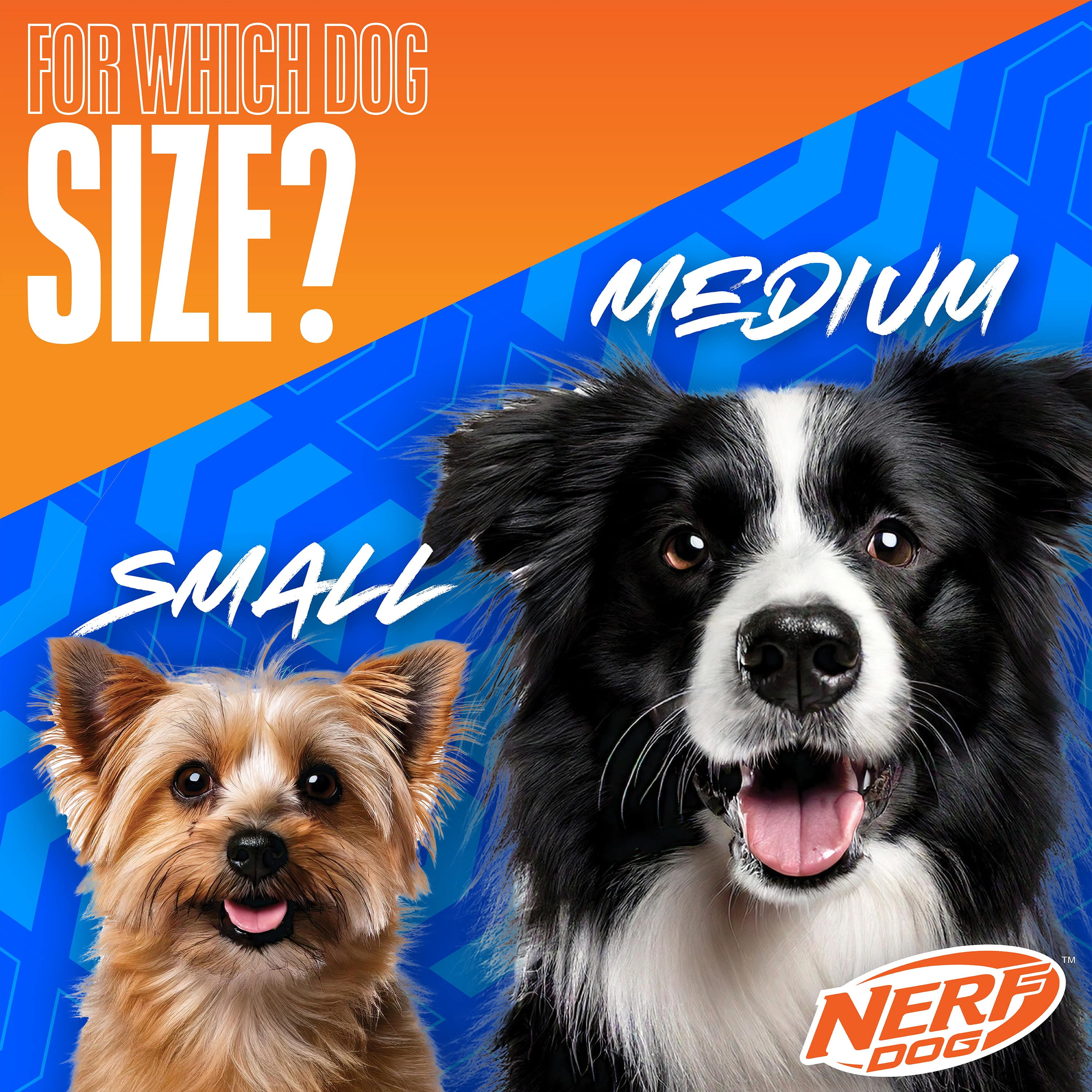 (2 pack) Nerf Dog LED Dental Spikes Light Up Squeak Ball Toy, 2.7 Inch