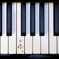 thumbnail image 2 of OULII 1Set Nano Material Piano Scale Stickers Beginners Piano Keys Sticker for Music Education and Memorization, 2 of 8