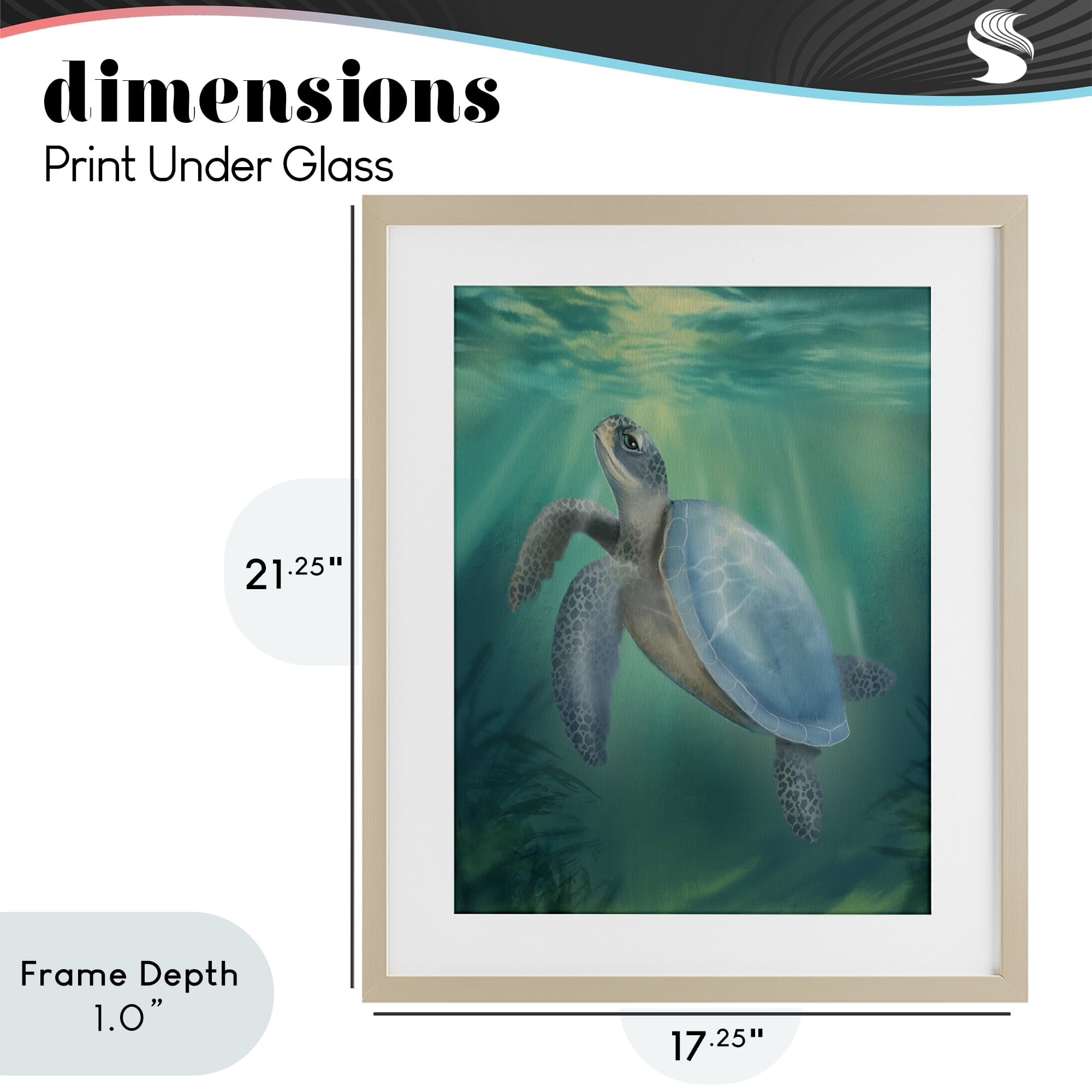 Stupell Industries Coastal Beach Sea Turtle Birch Framed Print Under Glass, design by Matthew Piotrowicz