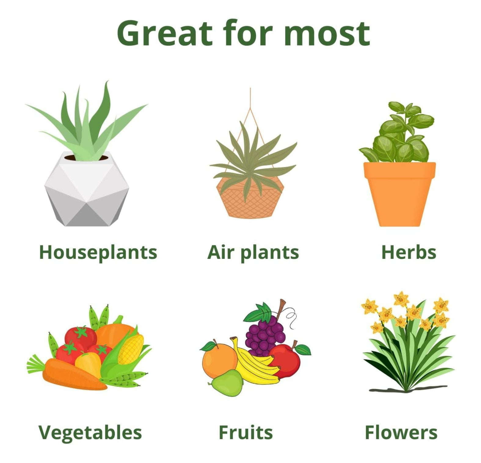 20-20-20 Water Soluble Fertilizer - Balanced NPK Plant Food with Kelp, Indoor/Outdoor Plants, Garden & Turf - 3 lbs