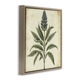 thumbnail image 2 of Stupell Industries French Country Vintage Blue Botanical Illustration Brown Floating Frame Canvas Art, 18 x 18, by Petals Prints Design, 2 of 7
