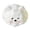 White, variant on Premium Puppy Milk Cracker Squish Slow Rising Soft Malt Sugar Fidget Sensory Decompression Hobbyist