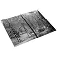 thumbnail image 3 of Print: National Zoological Park, Washington, D.C., circa 1918-1920, 3 of 4