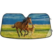 Hyjoy Beautiful Mare and Pony Car Windshield Sun Shade,Foldable Visor Protector Keep Cool Sunshade Blocks UV Rays and Accessories to Protect for Cars,SUVs,Trucks-5527.6in