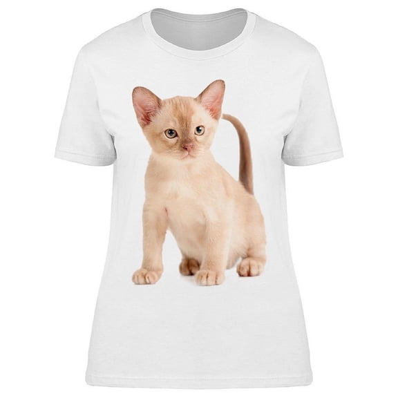 Burmese Cat Possing For Photo T-Shirt Women -Image by Shutterstock, Female 3X-Large