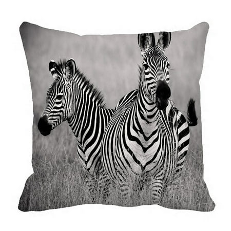 2 White Zebra - PHFZK Animal Pillow Case, African Two zebras in Black and White Pillowcase Throw Pillow Cushion Cover Two Sides Size 18x18 inches