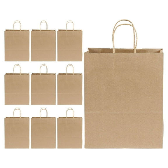 10 Pcs Gift Bags Bulk Small Party Favor for Birthday Packing