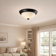 thumbnail image 6 of Design House 587519 Traditional 2 Pack 2-Light Indoor Dimmable Ceiling Light with Alabaster Glass for Bedroom Hallway Kitchen Dining Room, Oil Rubbed Bronze, 6 of 6