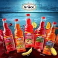 thumbnail image 5 of Grace Fruit Punch Flavored Syrup (2 Pack, Total of 50.6fl.oz), 5 of 5