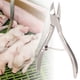 thumbnail image 3 of Tijera cortadora de dientes de Acero inoxidable Bling Bling para pinzas cortadoras de lechones para perros 12 cm, 3 of 7