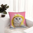 thumbnail image 6 of Yiaed A Funny Cat Print Pillow Covers Super Soft Decorative Square Throw Pillow Covers Case Cushion Covers for Sofa Couch Bedroom Car Decor（No pillow core）-26"x26", 6 of 7
