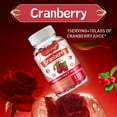 Cranberry 620mg Kidney Detoxification,Urinary Tract Flushing,Bladder