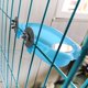 thumbnail image 4 of Juguete de baño para pájaros pequeños con espejo de ducha, lavabo para baño de loros, comedero para mascotas, loro pequeño y mediano, loro, guacamayo, pájaro del amor, pinzón ER, 4 of 5