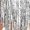 Silver, variant on Girls Rumba Dance Outfit 2 Piece Set Sleeveless Sequined Fringe Top and Skirt Blue 6