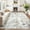 Brown/Gray, variant on Reepow 5x7 Grey/Gold Abstract Neutral Machine Washable Non-Slip Backing Low Pile Area Rug for Living Room Bedroom Dining Room