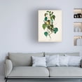 thumbnail image 3 of John James Audubon 'Hemlock Warbler' Canvas Art, 3 of 3