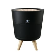 IMUNSEN M-002B Air Purifier with Cypress Wood Filter, H13 True HEPA Filter, 100% Ozone Free, Auto Sleep Mode, Filters allergens, Pollen, Smoke, Perfect for Office and Bedroom - Black