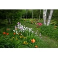 thumbnail image 2 of Anon, Ellen 14x11 Gold Ornate Wood Framed with Double Matting Museum Art Print Titled - Canada, New Brunswick Garden scenic, 2 of 4