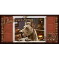 thumbnail image 3 of Great Dane "Paws on the Windowsill" A House is Not a Home Dog Sign Plaque featuring the art of Scott Rogers, 3 of 3