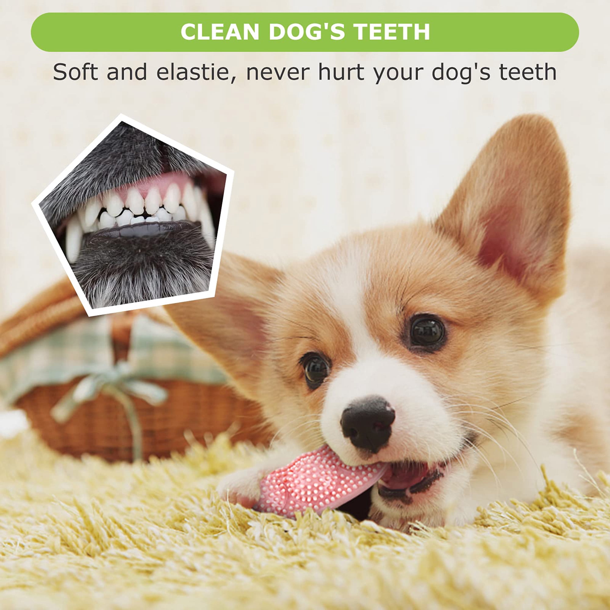 Puppy Teething Toys for Small & Medium Dogs, 3 Pack Soft Chew Toys for Teeth Cleaning, Oral Health, Boredom Relief, Indoor Outdoor Play, Blue
