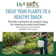 thumbnail image 3 of HyR BRIX All-Purpose Liquid 4-3-3 Fertilizer, 2.5 Gallons - Fast-Acting Plant Food with Micronutrients, Humic & Fulvic Acids - Ideal for Vegetables, Flowers, Fruits & Houseplants, 3 of 7