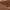 400 Neutral, variant on L'Oreal Paris True Match Lumi Foundation Makeup, 140 Cool, 0.85 fl oz