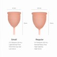 thumbnail image 4 of Copa menstrual Saalt Soft Best Sensitive Reusable Period, 4 of 7