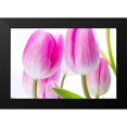 thumbnail image 2 of Warminski 14x11 Black Modern Framed Museum Art Print Titled - Pink I, 2 of 5