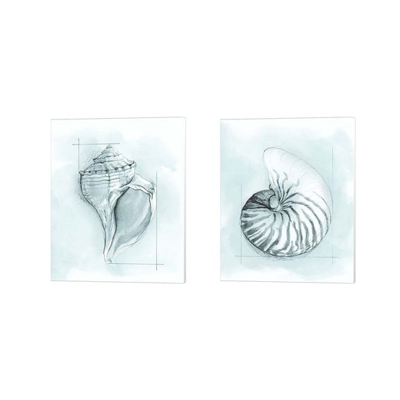 Metaverse Megan Meagher 'Coastal Shell Schematic A' Canvas Art (Set of 2)