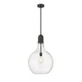 thumbnail image 1 of 492-1S-BK-G582-16-LED-Innovations Lighting-Amherst - 1 Light Pendant In Industrial Style-24.75 Inches Tall and 15.75 Inches Wide Matte Black Clear, 1 of 1