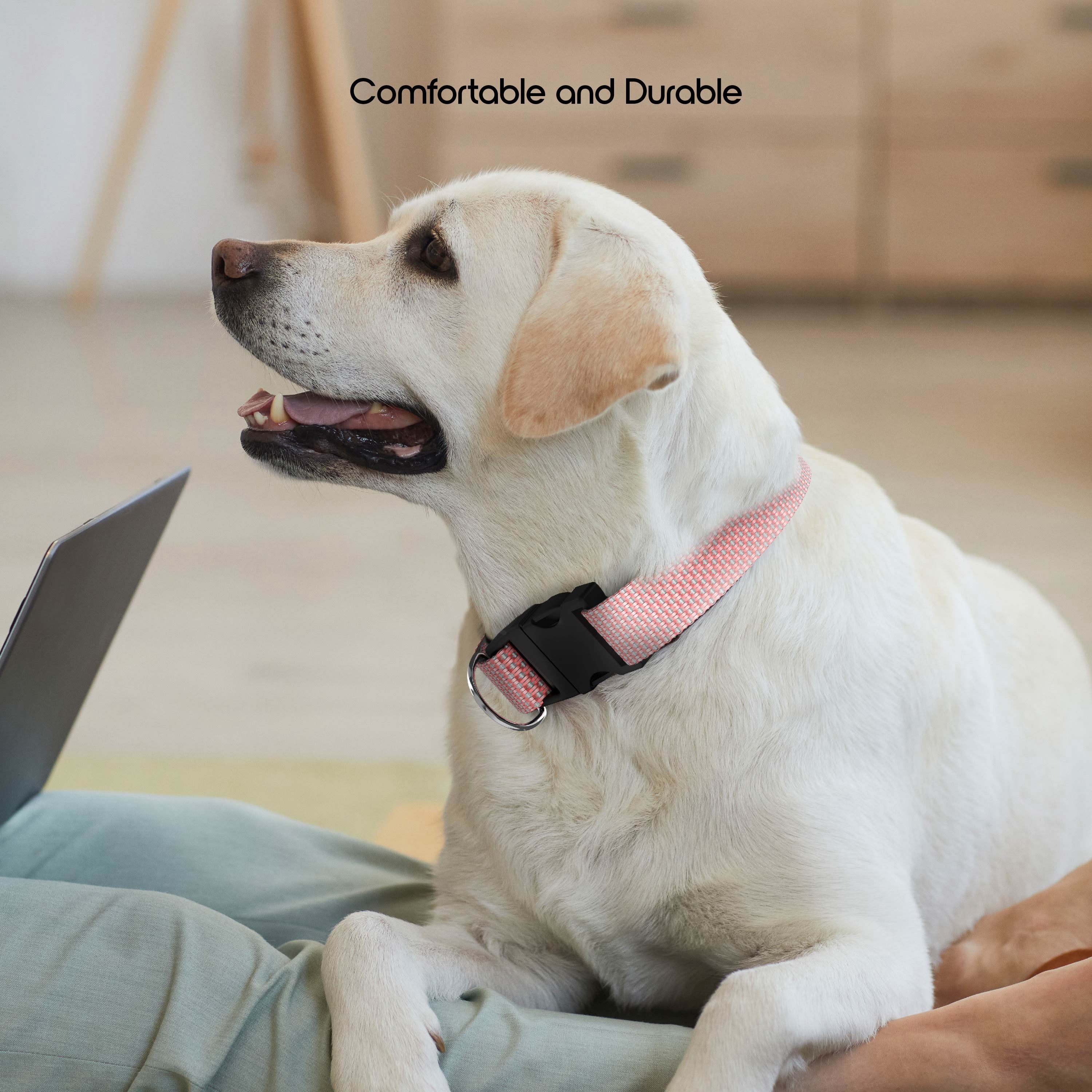 Vibrant Life Woven Padded Dog Collar, Pink, Large