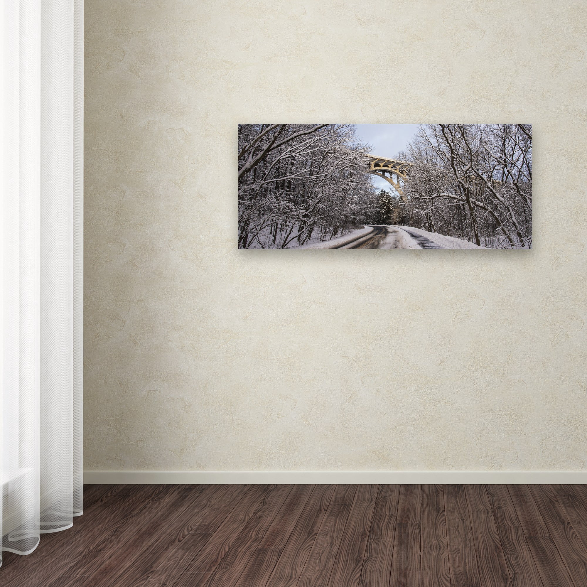 Trademark Fine Art "Heavy Snowfall Along the Parkway 2" Canvas Art by Kurt Shaffer