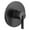 Matte Black, variant on Moen Ut2261 Cia Pressure Balanced Valve Trim Only - Gold