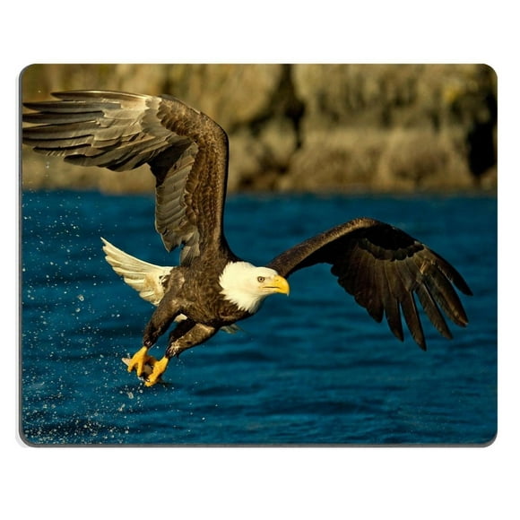 EREHome Flight Wings Eagle Spray Bird Water Mouse pads Gaming Mouse Pad 9.84x7.87 inches