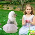 thumbnail image 6 of Kumdkd Easter Princess Pet Skirt - Soft Cloth Dog Clothes for Small Breeds, All-Season Wear, Cute Home Decor, Lightweight, 6 of 6