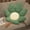 Green#1, variant on HOARBOEG Maple Leaf Throw Pillow - Cotton Sofa Cushion, Living Room Futon Pillow, Versatile Home Decor, Soft Tatami Floor Cushion, Stress Relief Pillow for Relaxation