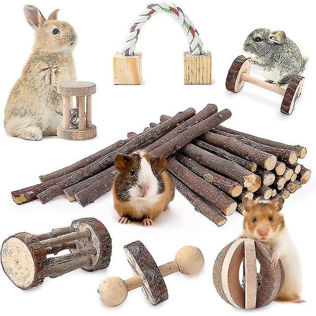 Juguetes para conejillos de indias, Chinchilla, hámster, rodillo, rata, juguetes masticables, conejos, pájaros