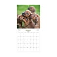 thumbnail image 2 of Blue Sky Monthly Stapled Calendar 12" x 12" Puppies (Jan 2026 - Dec 2026), 2 of 4