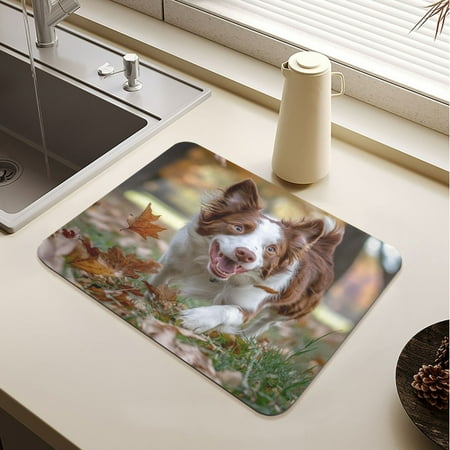 

Border Dog Drying Mat Diatomaceous Earth Super Absorbent Non-slip Rubber Sole Heat Resistant 230 Degrees Fahrenheit 15.7×11.8in